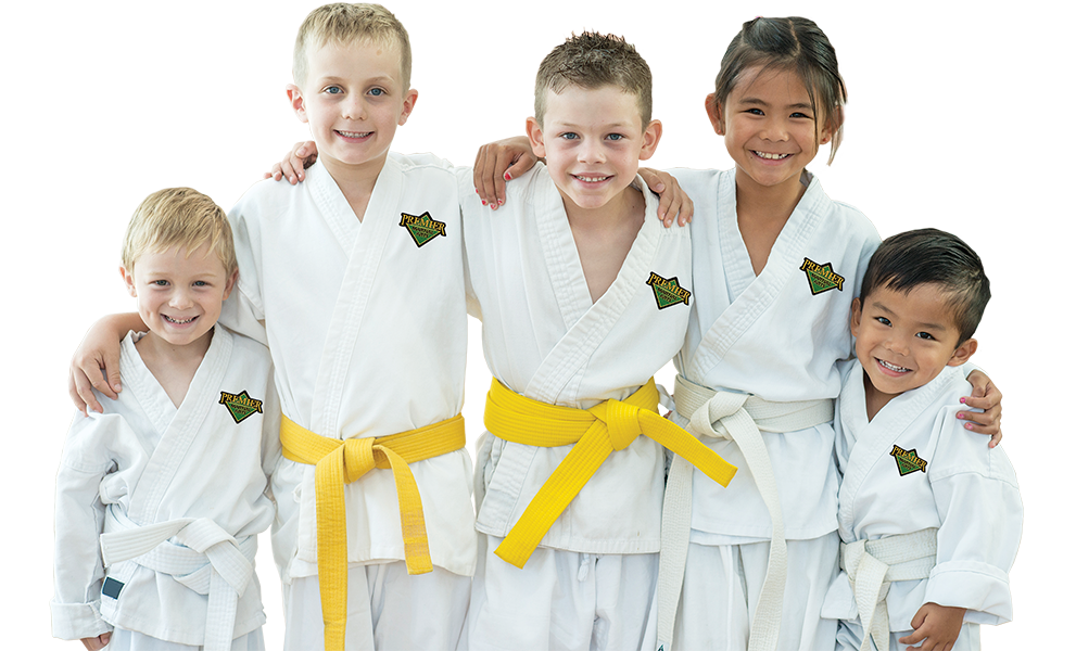 How Martial Arts Can Help Children Socialize and Gain Social Skills